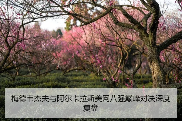 梅德韦杰夫与阿尔卡拉斯美网八强巅峰对决深度复盘